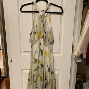 Anthropologie Garden Party Dress